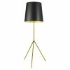 Hot Sale 🎁 Dainolite Metal Modern 1 Light Tripod Aged Brass Floor Lamp 👏